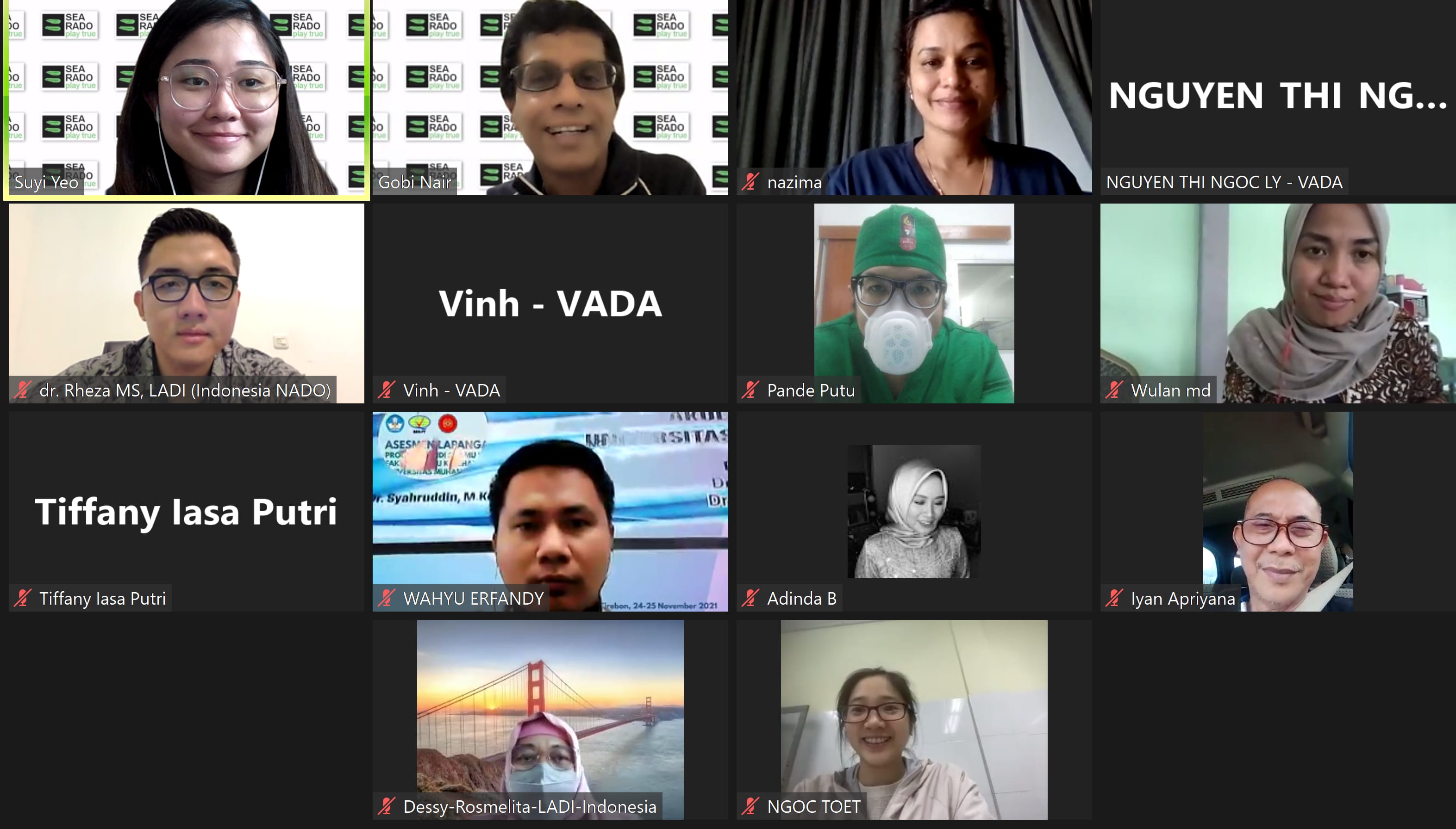 A virtual meeting grid showing eleven named participants from various organizations including VADA and LADI Indonesia.